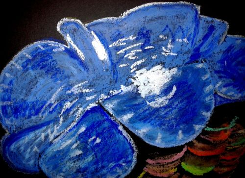Giant clam closeup. Oil pastel on paper. Credit: Sarah Frias-Torres