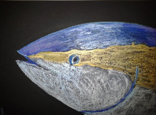 Bluefin tuna. Iridescent oil pastels on paper. Credit: Sarah Frias-Torres